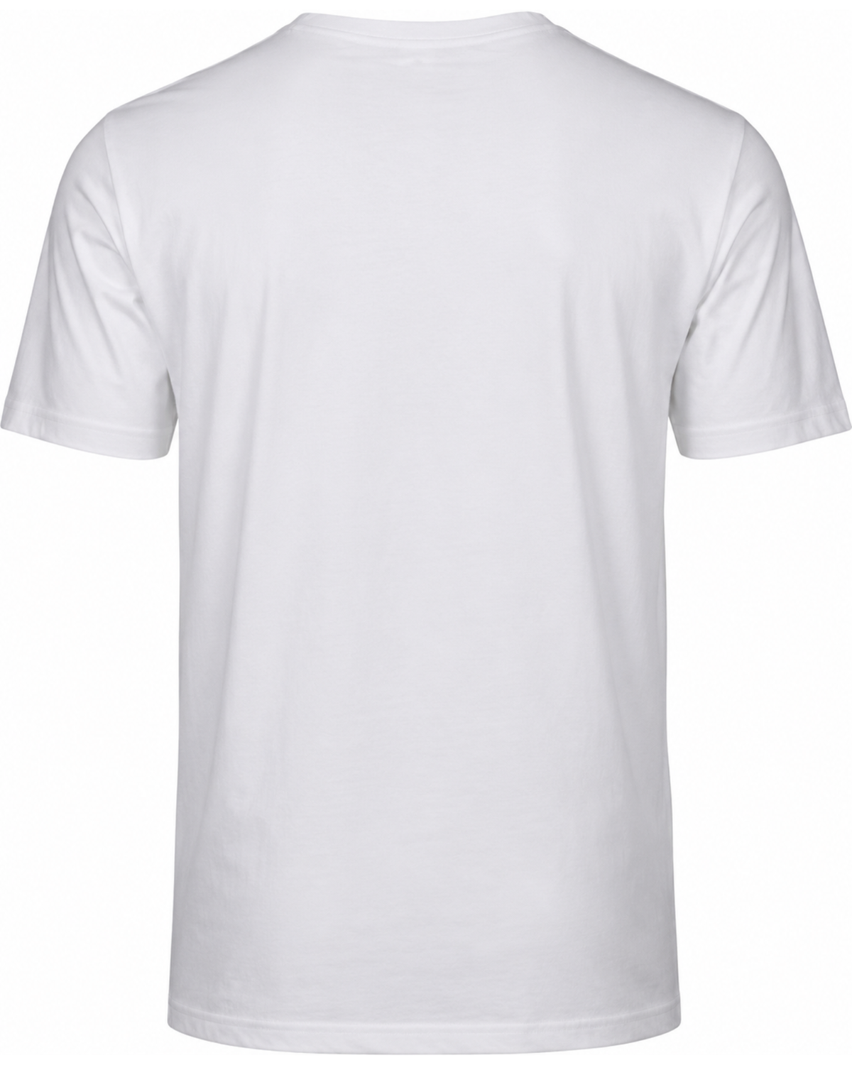 Premium T-Shirt Herren/Unisex | 185g/m², 100% Baumwolle | TeeJays