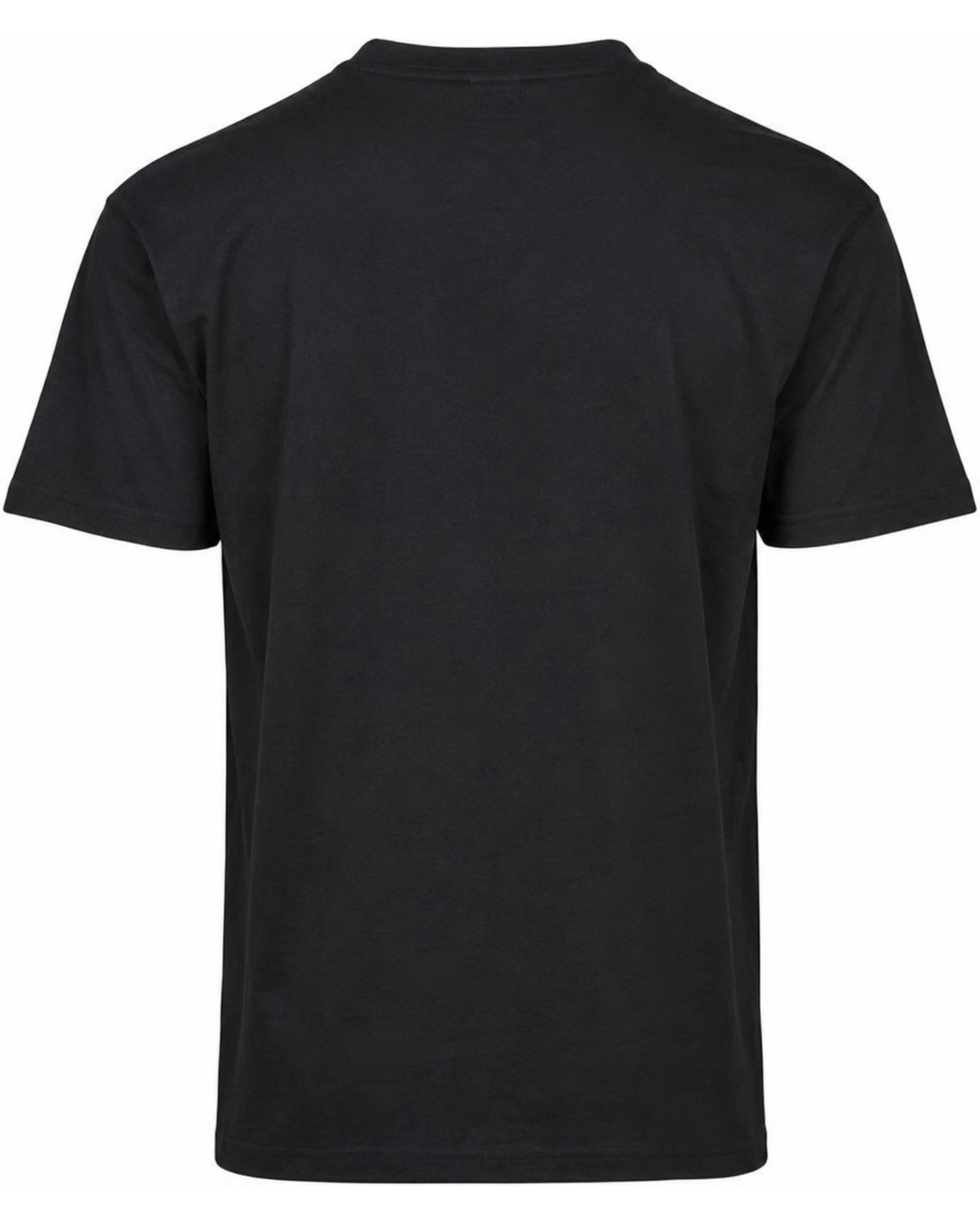 Premium T-Shirt Herren/Unisex | 185g/m², 100% Baumwolle | TeeJays